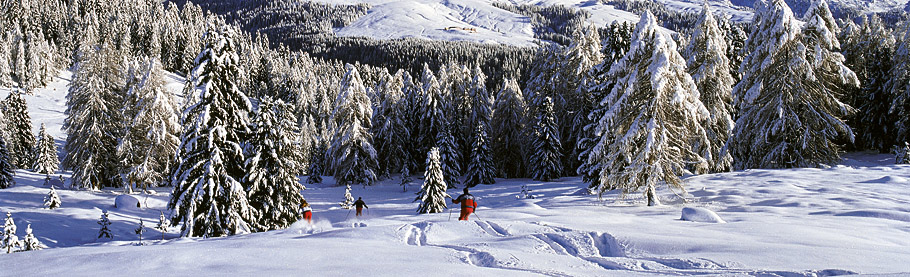 Sci San Martino di Castrozza